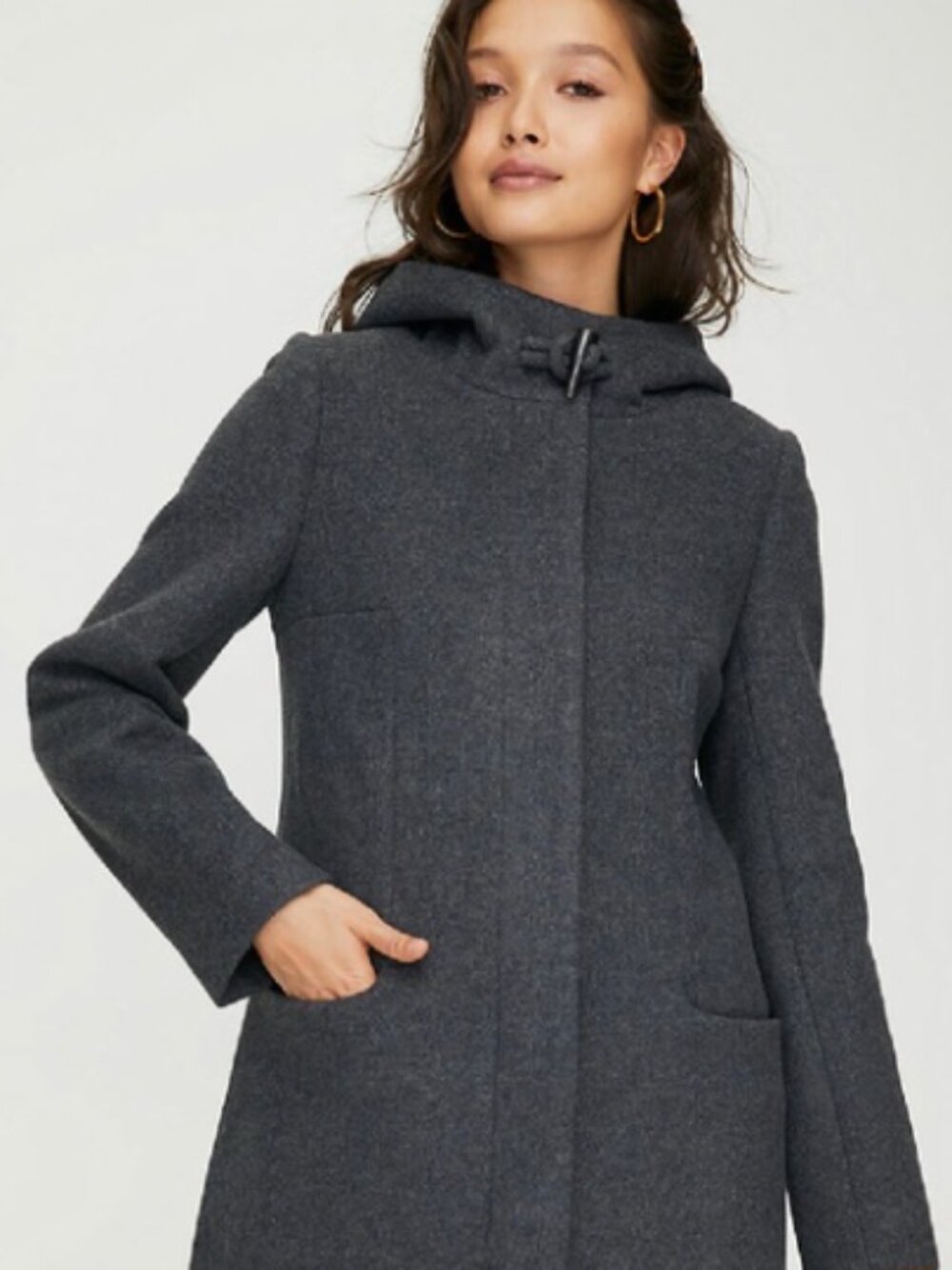 Aritzia Babaton Pearce Wool Coat